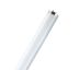 Žiarivka OSRAM L30W/840 90 cm studená bílá